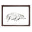Lying Pig by Jean Bernard - Picture Frame Drawing Print-55577278-55577279