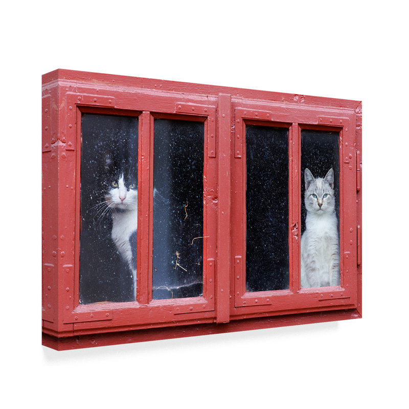Red Framed Canvas Art with Cats in Window, 24" x 16"