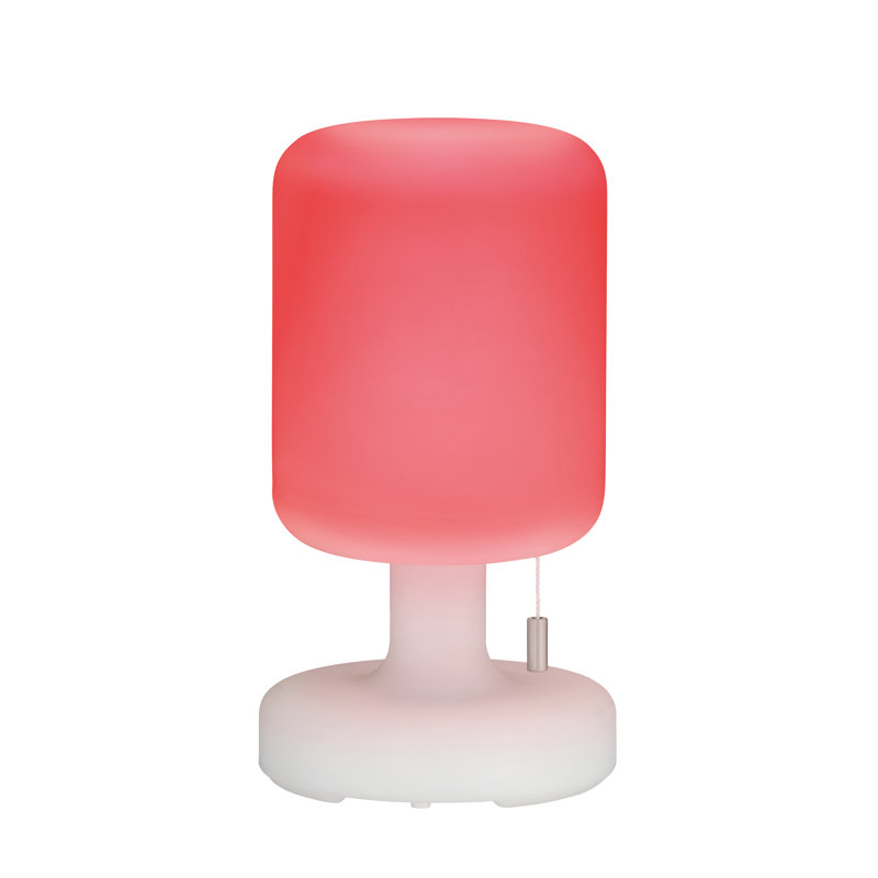 Moncheri USB Battery -operated Table Lamp Lamp