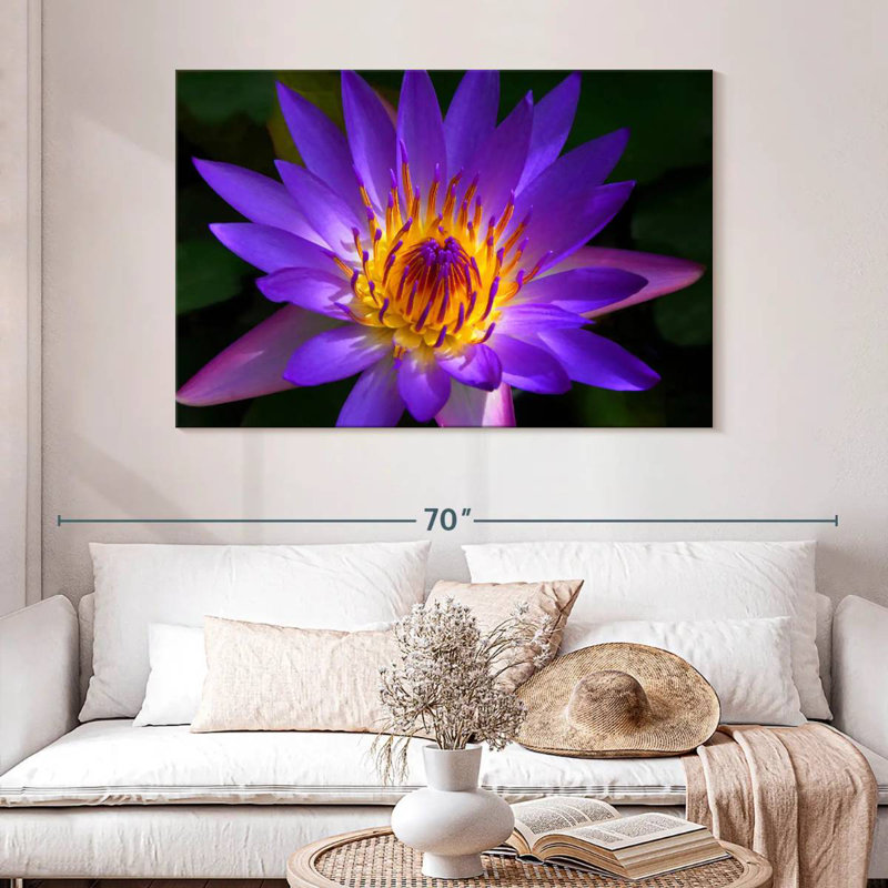 Harnek Hawaiian Water Lily, H 32 po x l 48 po