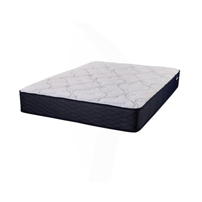 Comfort Foam Mattress by Alwyn Home