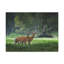 No Frame Print on Canvas