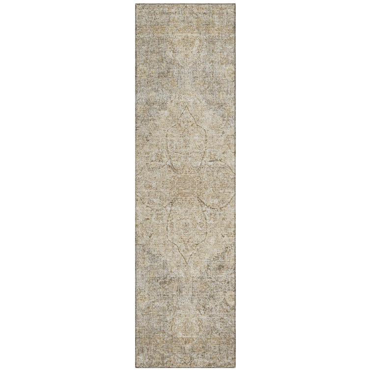 Machine Washable Indoor/Outdoor Colman ACN2136 Global Rug
