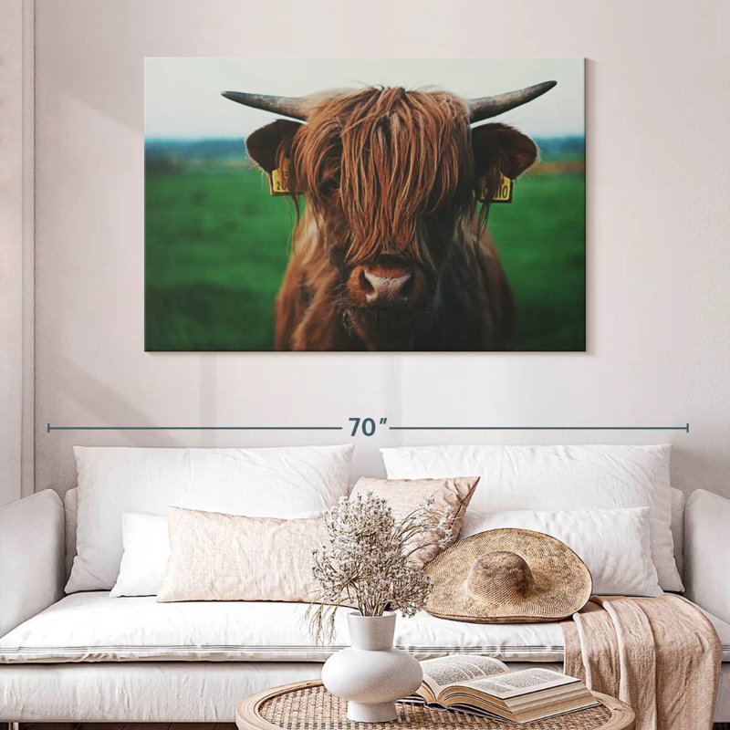 Brampt Highland Cow Close Up, 32" H x 48" W