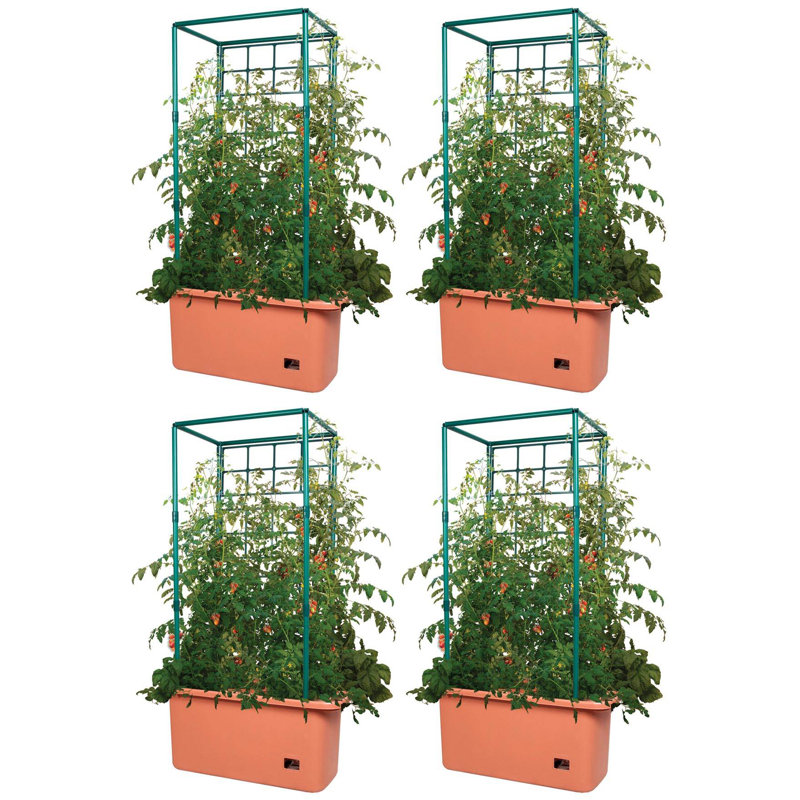Hydrofarm Accessory Fruits / Vegetables