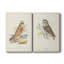 Hawk Owl - Toile tendue avec châssis de qualité supérieure - Prêt à être accroché-108965315