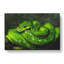 Green Python Snake - Wrapped Canvas-61852707