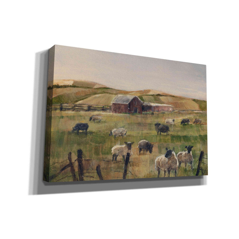«Grazing Sheep II» par Ethan Harper, art mural sur toile, H 18 po x l 26 po x P 0,75 po