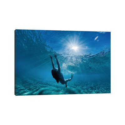 Aqua Joy by Sean Davey - Wrapped Canvas Gallery-Wrapped Canvas Giclée
