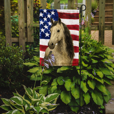 Drapeau gris du jardin américain Paso Fino