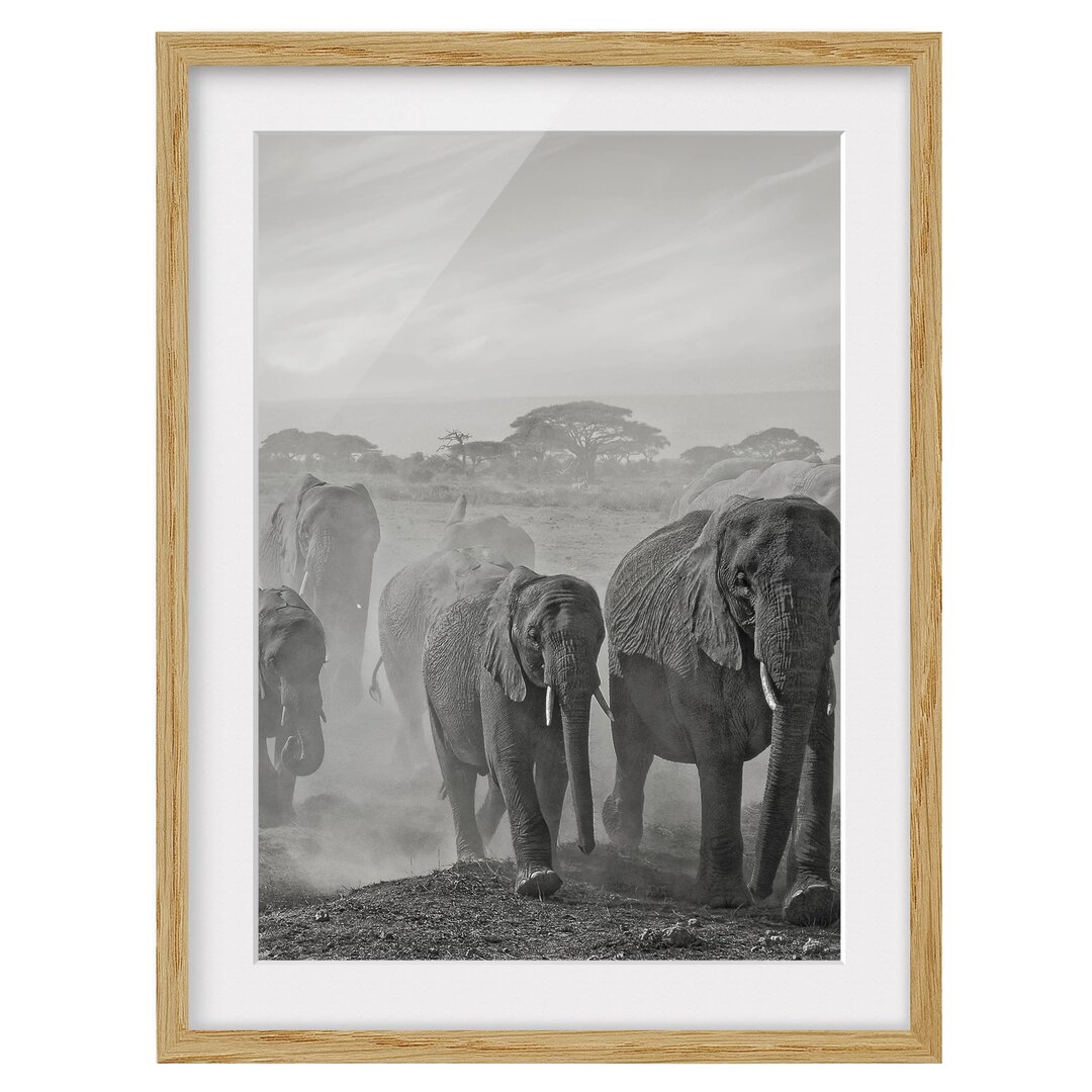 Gerahmter Fotodruck Herd of Elephants