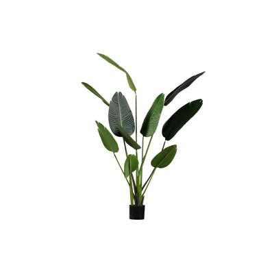164cm Faux Strelitzia Plant in Planter