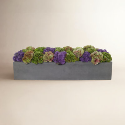 Sedum Floral Arrangement in Black Planter