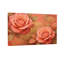 Plantes et fleurs, motif floral rose avec motifs de nuages-852032437