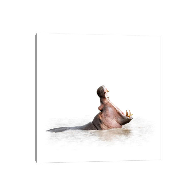 Hippo Mouth Wide Open Isolated On White by Susan Richey - Gallery-Wrapped Canvas Giclée on Canvas, Wrapped Canvas