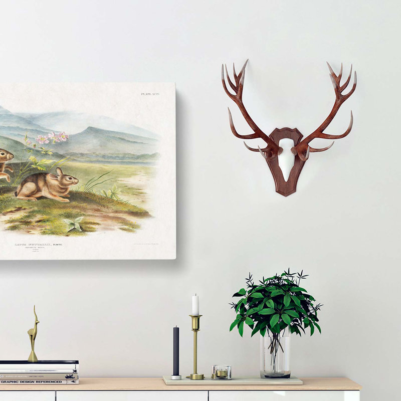 Two Hares by J.W. Audubon - Wrapped Canvas, 50cm H x 76cm W x 3cm D