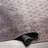 Dicken Washable Oriental Indoor Rug-800231584