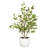 Olive Tree with Vase