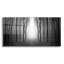 «Dark Woods» par Photoinc Studio, art mural en verre acrylique-102029544