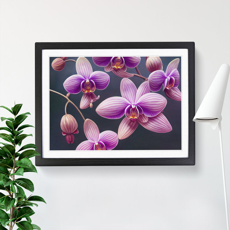 Exceptional Orchid Flowers - Single Picture Frame Print, Black, 46cm H x 64cm W x 2cm D