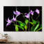 Ensemble de panneaux d'art en verre trempé surdimensionné sans cadre 72 "x 36" "Violete Belle"