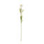Tige de fleur artificielle Cole et Grey