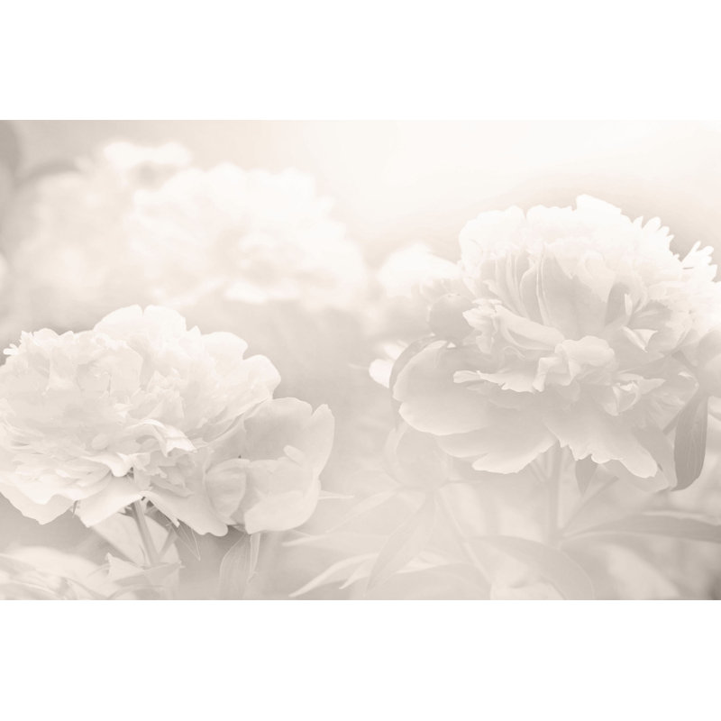 Wrapped Canvas Print, 76cm H x 114cm W x 3.8cm D