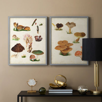 Mushroom Species IX-Premium Framed Print -Ready to Hang - No Nails Required - No Nails Required