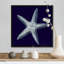 « Indigo shells IV » par vision studio-impression-538534982-538534983