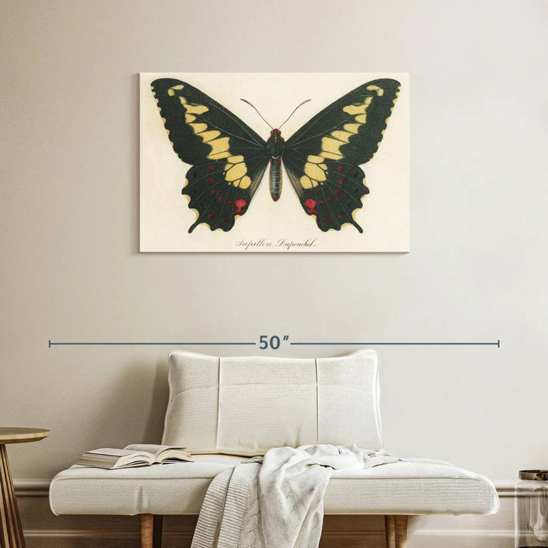 Brampt Natures Butterfly VI, 24" H x 36" W