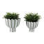 Pot de fleurs et ciment Planters