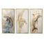 Ensemble de 4 impressions sur toile de dauphins beiges et dorés-995306278-995306276