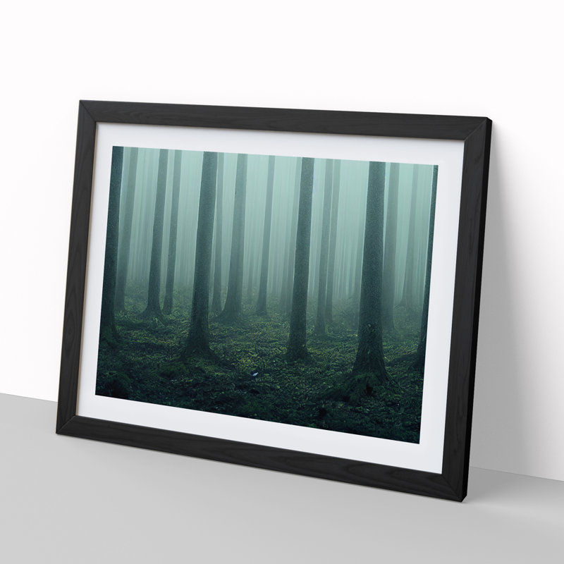 A Captivating Forest - Single Picture Frame Print, 25cm H x 34cm W x 2cm D, Black