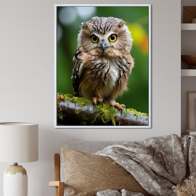 Portrait d'une chouette brune I sur toile