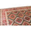 Hand Knotted Wool Area Rug