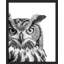 "Photographie de hibou noir et blanc" sur-98265758-98265760