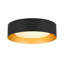Matte Black Drum LED Flush Mount with Frosted Glass Shade 