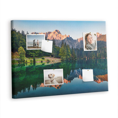 Birbal Cork Corkboard / Bulletin Board