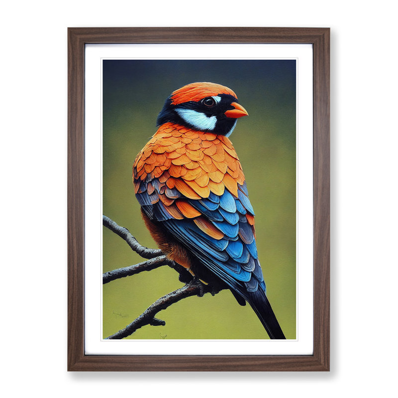Delightful Bird - Single Picture Frame Print, 46cm H x 34cm W x 2cm D, Walnut