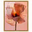 Amber Radiance I Print-1971725242-2049675581