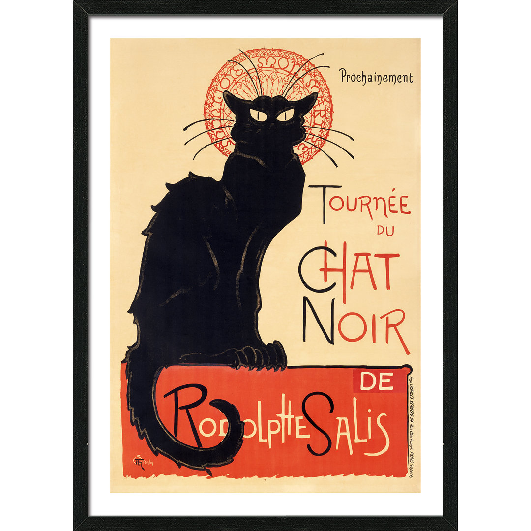 Tourmee Du Chat Noir