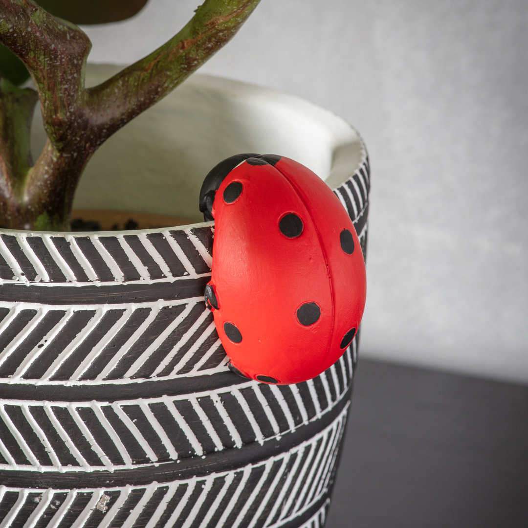 Boisvert Ladybird Pot Hanger