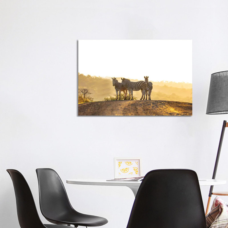 Zebras In Africa by Anders Jorulf - Wrapped Canvas Print, 101.6 cm H x 66.04 cm W