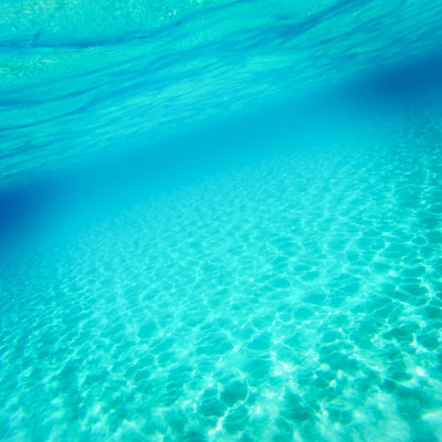 " Sea Underwater "