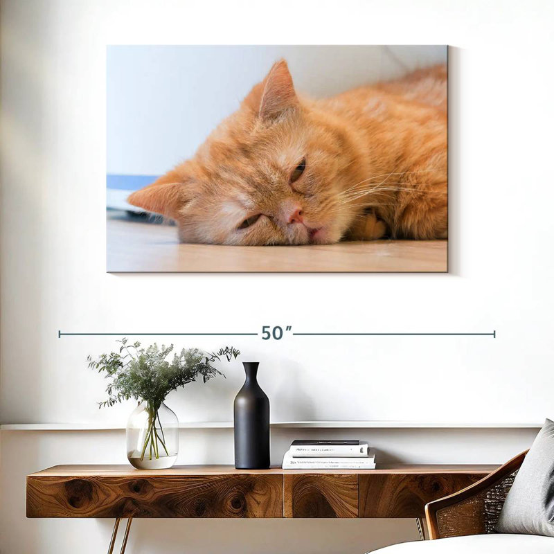 Crowle Sleeping Cat