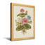 Plantes et fleurs Fleurs de lotus avec feuilles et racines-1869759250-1869759251-1869759276