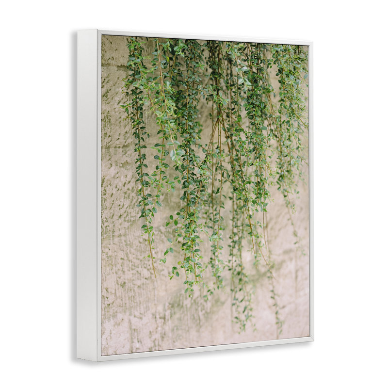«Hanging Ivy Vines Art» par Justine Milton bg-080, Estampe numérique encadrée blanc bord de mer, H 14 po x l 11 po