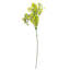 Artificial Arrangement-106401575