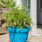 Bowermaster Metal Weather Resistant Plant Support-27157354-27157352