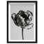 Take A Peek Print by Oliver Gal-581774396-581774372